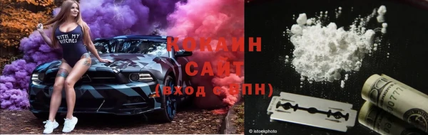 индика Баксан