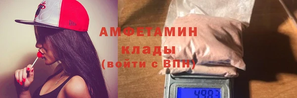 индика Баксан