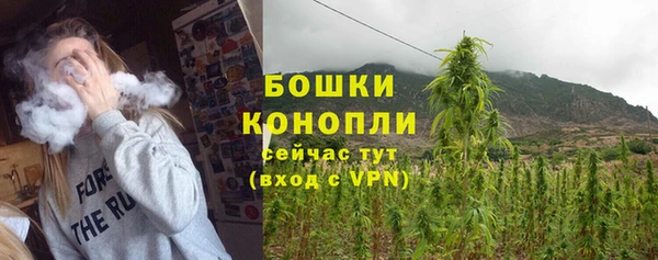 дживик Осташков